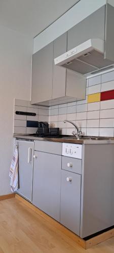 Grünes 1-Zimmer-Appartement