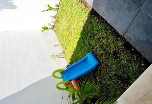 Casa Amazonas! - Tap to explore photos