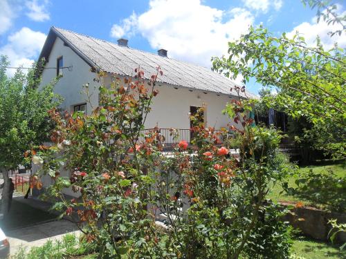 奧比麗亞旅館 (Guest House Olbina) in 克雷尼薩