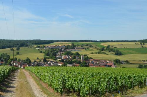 Chambres D'hotes & Champagne Douard