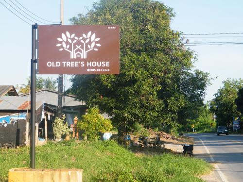 Old Tree's House ThaTon