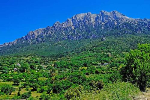 S'Enis Monte Maccione