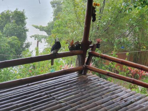 Littleduck bungalow Koh Chang Ranong in เกาะช้าง