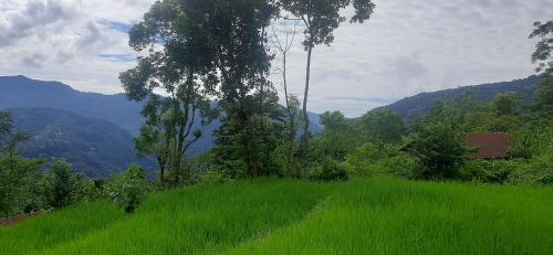 Kalimpong Village Homestay