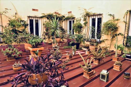 设施服务, 小屋酒店 (Hotel De La Loge) in 佩皮尼昂