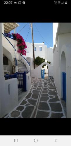 ktima san Antonio Paros Artemis