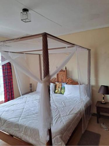 Mara view safari camp
