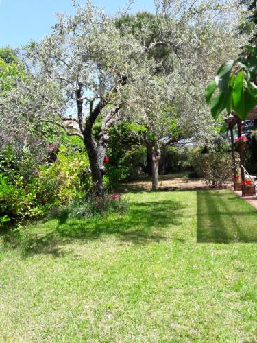  Etna Home Escape, Ferienwohnung in Pedara