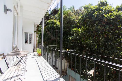 Apartments of the Marques 3