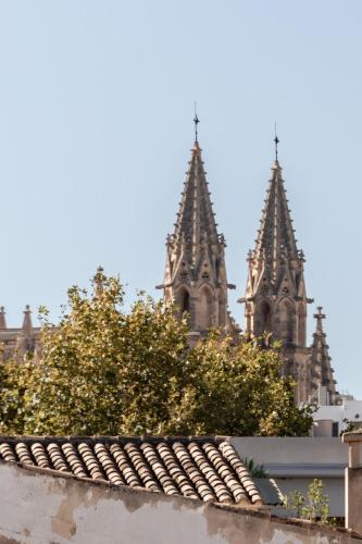 497324915 Nobis Hotel Palma, a Member of Design Hotels