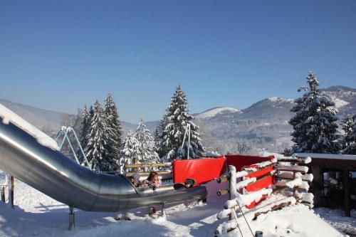 Chalets Julien - image 2