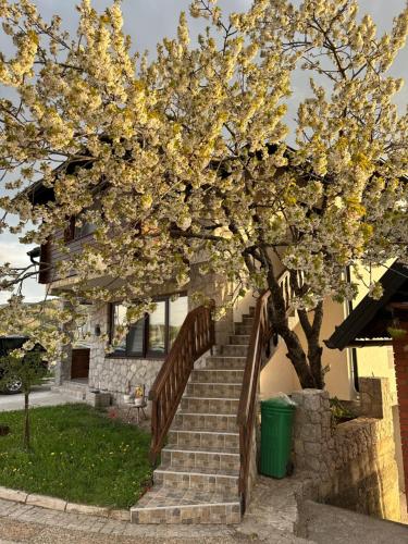Apartmani Dunja Zlatar - image 12
