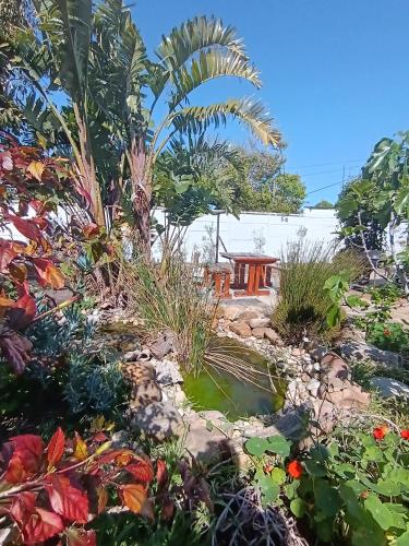 Private & Spacious Olive cottage in Bloubergstrand - Tap to explore photos