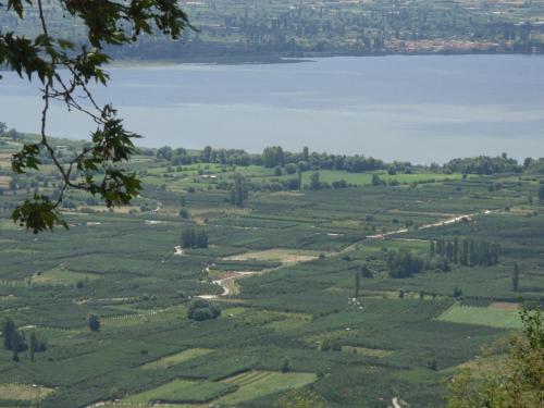 Nimbus Guesthouse - image 5