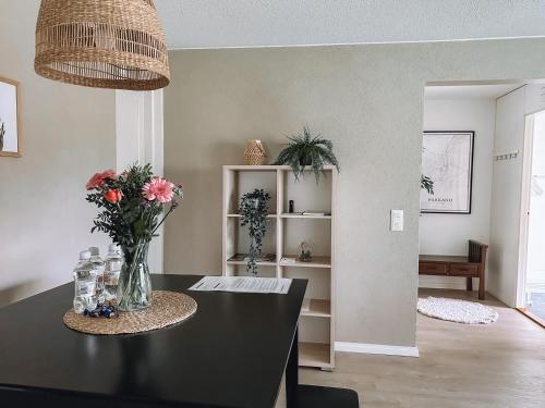 Sapelin airbnb, Parkano in Паркано