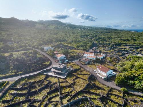 Adega do Portinho Velho in เฟเตรา