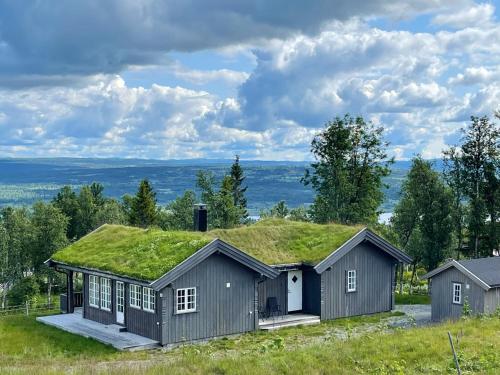 Accommodation in Golsfjellet