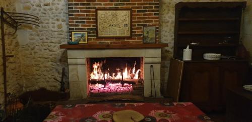 La Chauvelliere, un ecrin de verdure dans un cadre historique in Beaumont-la-Ronce