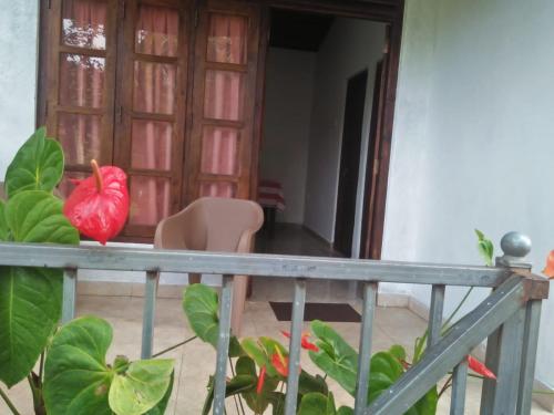 The Jesmine Homestay in Halloluwa