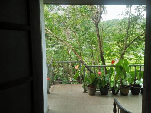 The Jesmine Homestay in Halloluwa