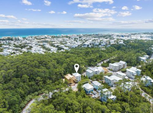 Scissortail at Treetop Scissortail at Treetop