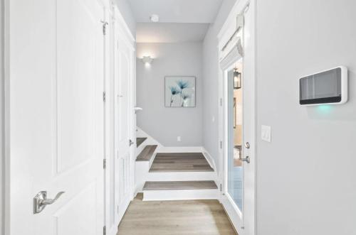 Scissortail at Treetop Scissortail at Treetop