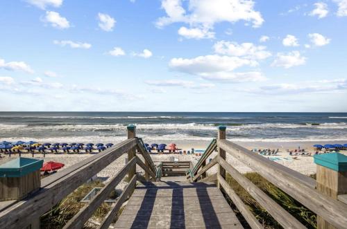 Scissortail at Treetop Scissortail at Treetop