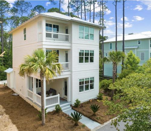 Scissortail at Treetop Scissortail at Treetop