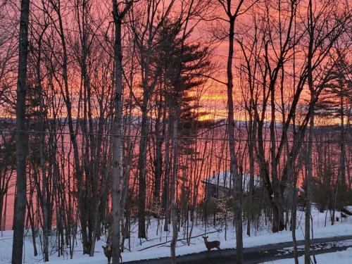 Tranquility and views