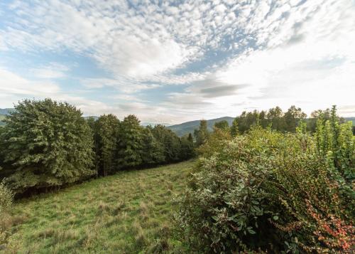 Domek Widok - main image