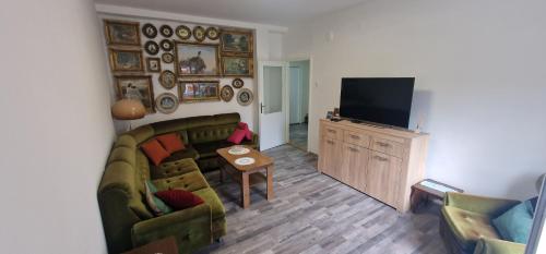 Stan na dan ili vikend Guča - Apartment