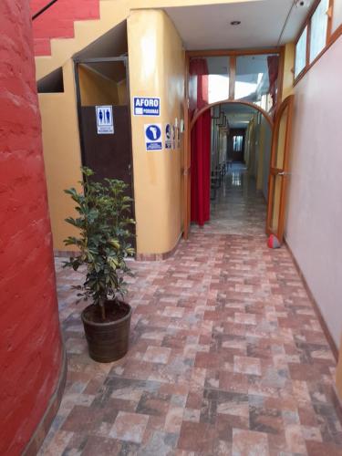 ทัศนียภาพภายนอกโรงแรม, Nasca Trails B&B: Hostal and Fly in นัสก้า