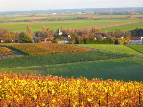 Entre Vignes Et Marais