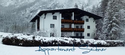  Appartement Seidner, Pension in Angerberg