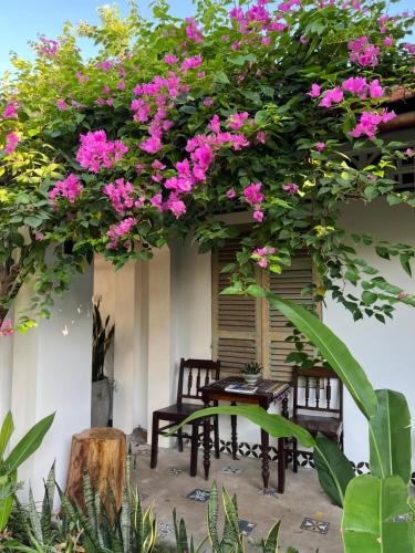 ニンビン Tam Coc Thoms House ホテル 客室