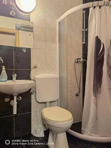 Lovely Bosnian Home - image 4