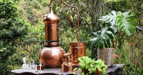 ONE Santuario Hotel y Reserva Natural