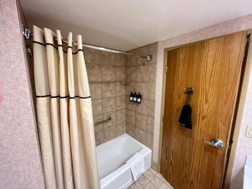 MT CB Base Area with King Bed, Outdoor Hot Tub & Pool, Crested Butte (foto 7)