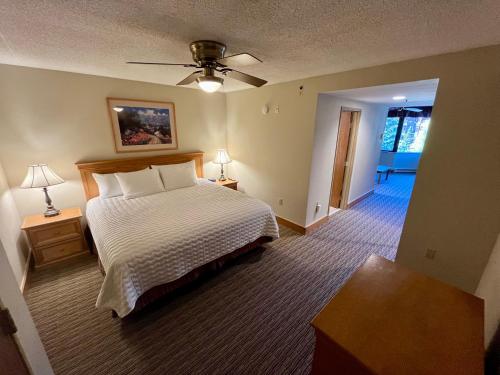 MT CB Base Area with King Bed, Outdoor Hot Tub & Pool, Crested Butte (foto 6)