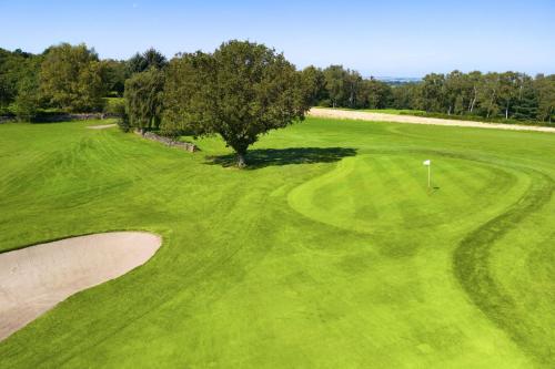 Breadsall Priory Marriott Hotel & Country Club - image 4