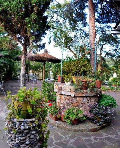 Hostal Magnolia - image 13
