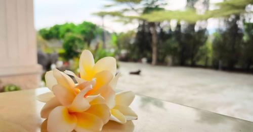 登雲villa, Shan-lin (photo 3)