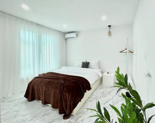 3room+2bathroom hongdae 1exit