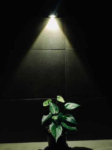 Hotel Kandyan View ''Free pickup from Kandy city''