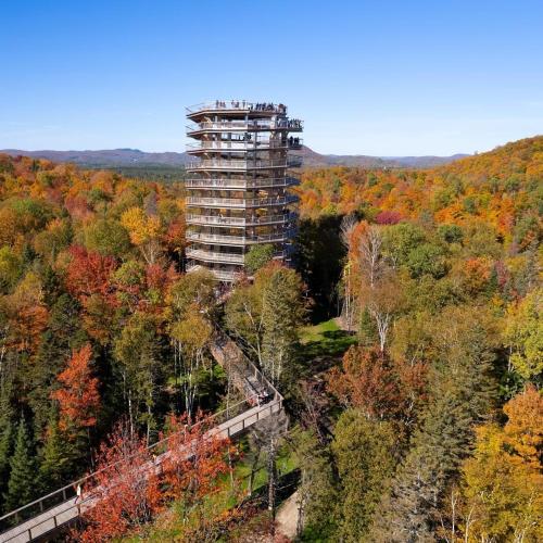 Tremblant chalet O-Spa