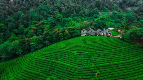 Zero Degree Jungle Resort