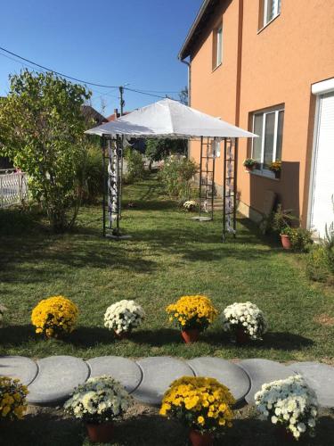 Apartman i sobe Milica Vrnjacka Banja in Sunny Hill
