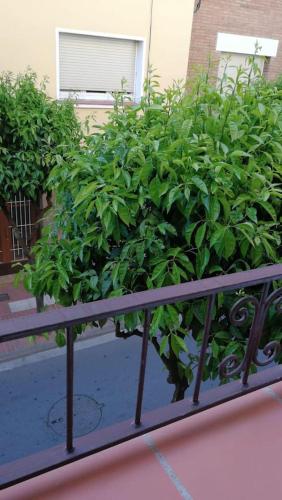 View, Nice Apartment 2 Bedrooms Well Connected in Cornellà de Llobregat