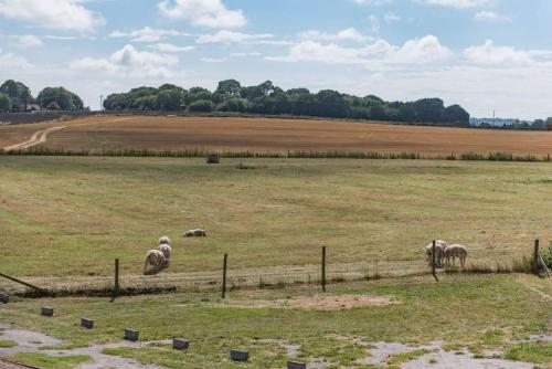 The Bothy - Charming home on a working farm