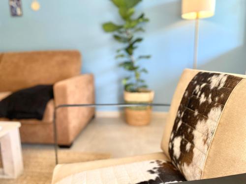 Villa bord de mer Riva-Bella